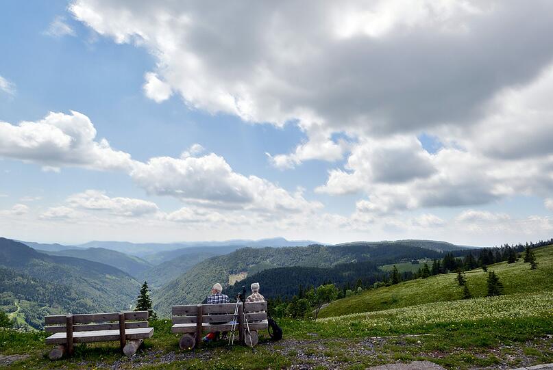 Geile Landschaft - Die Werbeaktion für das Ferienland Schwarzwald stößt auf reichlich Kritik.