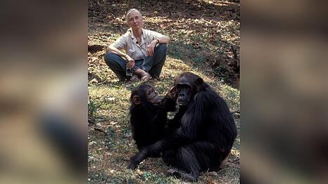 Jane Goodall starb im Alter von 91 Jahren.