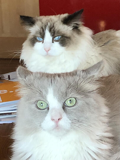 Hilde & Pauli