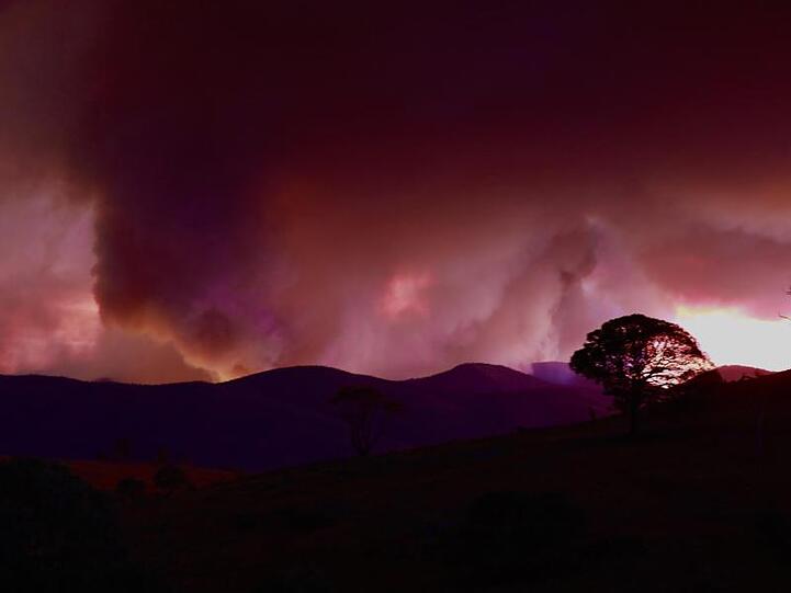 Wegen des riesigen Feuers haben die Behörden für die australische Hauptstadt Canberra und die umliegende Region den Notstand ausgerufen.