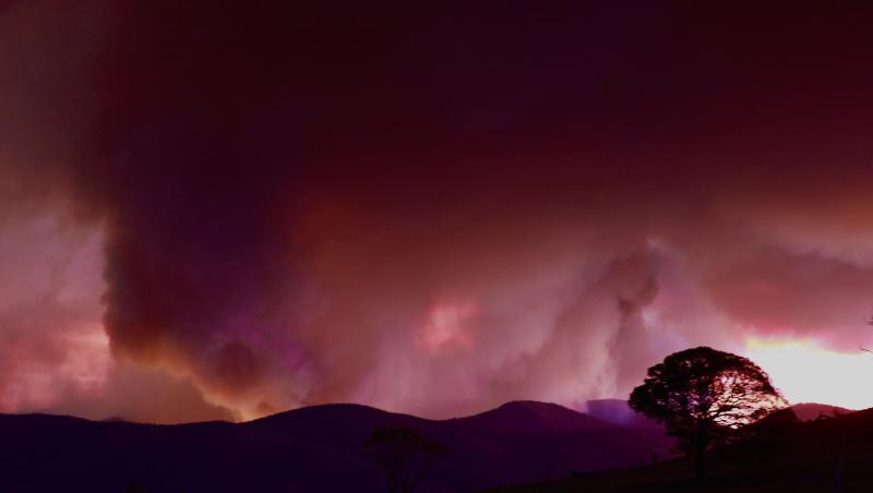 Wegen des riesigen Feuers haben die Behörden für die australische Hauptstadt Canberra und die umliegende Region den Notstand ausgerufen. Wegen des riesigen Feuers haben die Behörden für die australische Hauptstadt Canberra und die umliegende Region den Notstand ausgerufen.