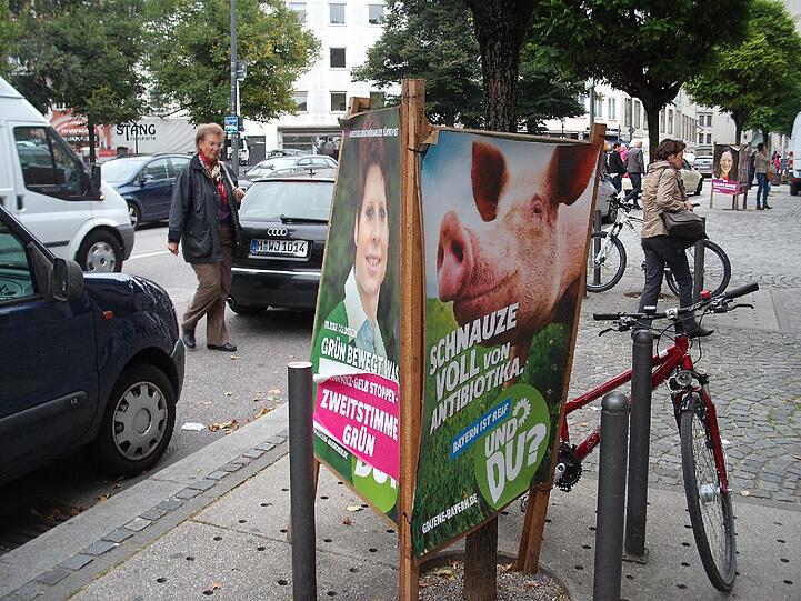 Teils beschädigt, teils überklebt, in jedem Fall unschön fürs Stadtbild: Die Plakate von Landtags- und Bundestagswahlkampf stehen und hängen noch überall herum.