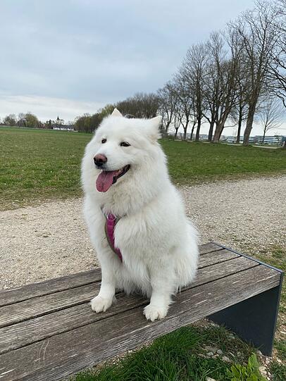 Luna:  Sie ist zuckersüß, manchmal eine Diva.