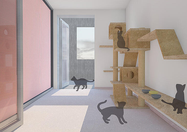 Die alten Katzenhäuser sind aus den 60er Jahren, deshalb baut der Tierschutzverein ein neues Katzenhaus.