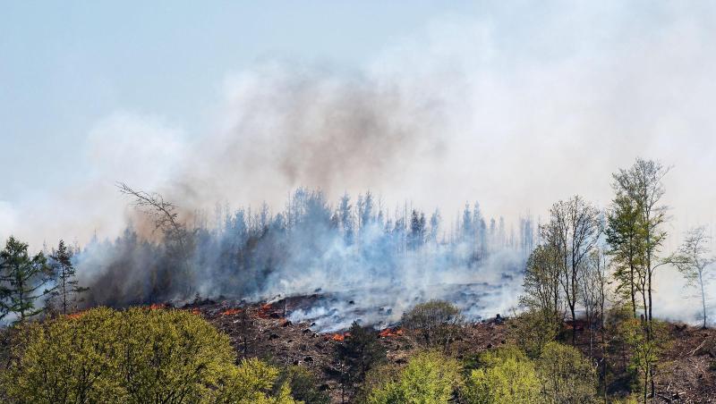 Rauch steht über einem Waldstück bei Gummersbach. Rauch steht über einem Waldstück bei Gummersbach.