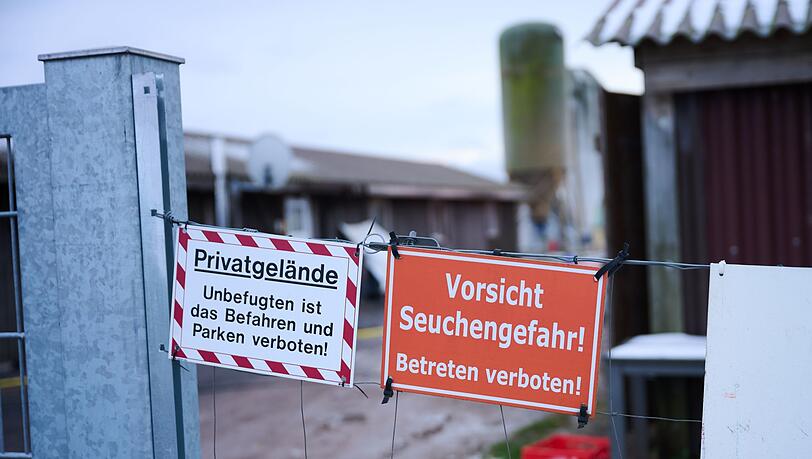 Bayern hofft darauf, weiter seuchenfrei zu bleiben. (Archivbild)