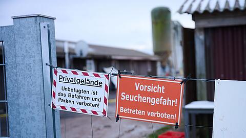 Bayern hofft darauf, weiter seuchenfrei zu bleiben. (Archivbild)