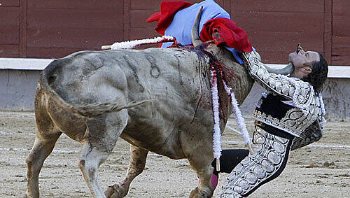 Torero in der Arena: Seit zwei Jahren ziehen sich die Verhandlungen über Arbeitsmarktreformen. Torero in der Arena: Seit zwei Jahren ziehen sich die Verhandlungen über Arbeitsmarktreformen.