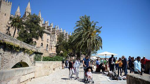 Hingucker: die Kathedrale von Palma.