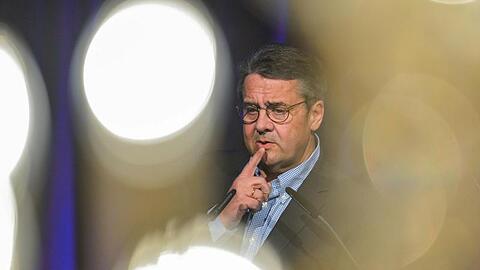 Drei Monate war Sigmar Gabriel für den Fleischkonzern Tönnies tätig.