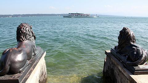 Die Löwen blicken vom Midgardhaus aus über den See, wie die Gäste. Während die Löwen regungslos verweilen, essen die Gäste Fisch oder Strudel und gehen auch mal baden.