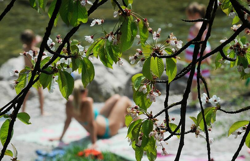die Anderen baden im Sonnenmeer.