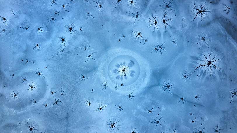 "Ice Magic" in der Kategorie Abstrakt.