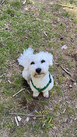 Einstein