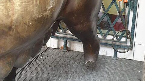 Das ist Sau Resi... Ihr fehlt ein Stück vom Fuß. Daneben sieht man die Diebstahlsicherung.