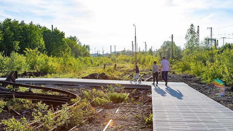 Im Gleispark Baumkirchen Mitte hat sich die Natur ein ehemaliges Bahnbetriebswerk zurückgeholt. Eine Münchner Architektin hat sich das zunutze gemacht.