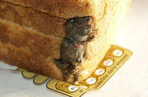 Zugegeben, da muss es einem schlecht werden. Hier handelt es sich auch nicht um eine exotische Leckerei: 2010 entdeckte ein Engländer eine eingebackene Maus in seinem Toast. Igitt!
