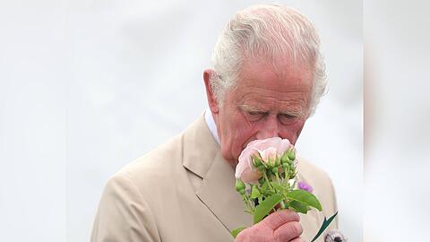 König Charles wird auf Blumen-Sonderbriefmarken zu sehen sein.
