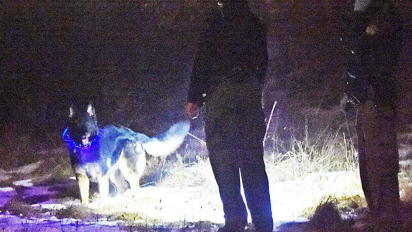 Im Einsatz war auch Polizeihund "Carry"- er durchsuchte das Auto auf Drogen.