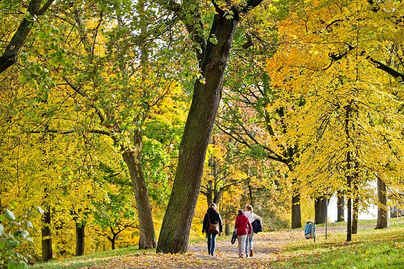 Quer durch den Forstenrieder Park geht die Wanderung des Bund Naturschutz.