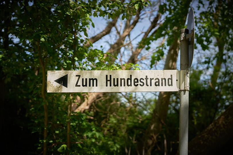 Damit Sie und Ihr Hund den Strandtag entspannt verbringen, sollten Sie immer ausreichend Wasser dabeihaben. W&auml;hlen Sie einen Platz im Schatten, damit Ihr Hund nicht &uuml;berhitzt. Gehen Sie vor dem Strandbesuch mit ihm Gassi, damit er sich nicht am Strand erleichtern muss. Packen Sie trotzdem immer Plastikt&uuml;ten zum Aufsammeln ein.