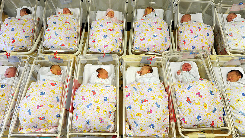 Ihre Intelligenz haben die meisten der kleinen Racker vermutlich von ihrer Mama geerbt.