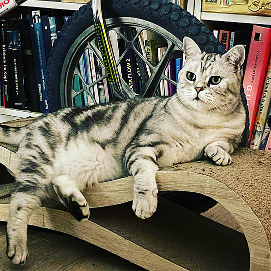 Leopold