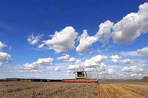 Schlechte Ernte: Das Wetter macht den Landwirten bei der Ernte zu schaffen.