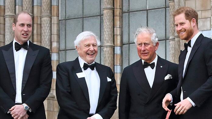 Prinz William (v.l.) bei einem gemeinsamen Termin mit Sir David Attenborough, dem heutigen König Charles III. und Prinz Harry im Jahr 2019.