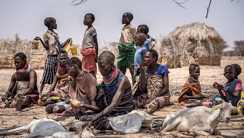 Hungernde Menschen und ihre sterbenden Tiere in Kenia.