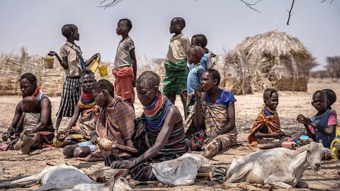 Hungernde Menschen und ihre sterbenden Tiere in Kenia.