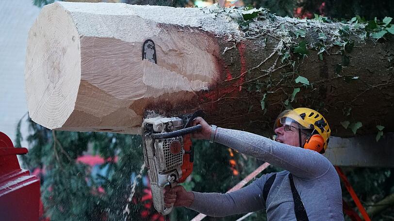 Und es wird fröhlich weitergesägt...