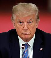 Donald Trumps Nichte warnt vor einer zweiten Amtszeit des US-Präsidenten.