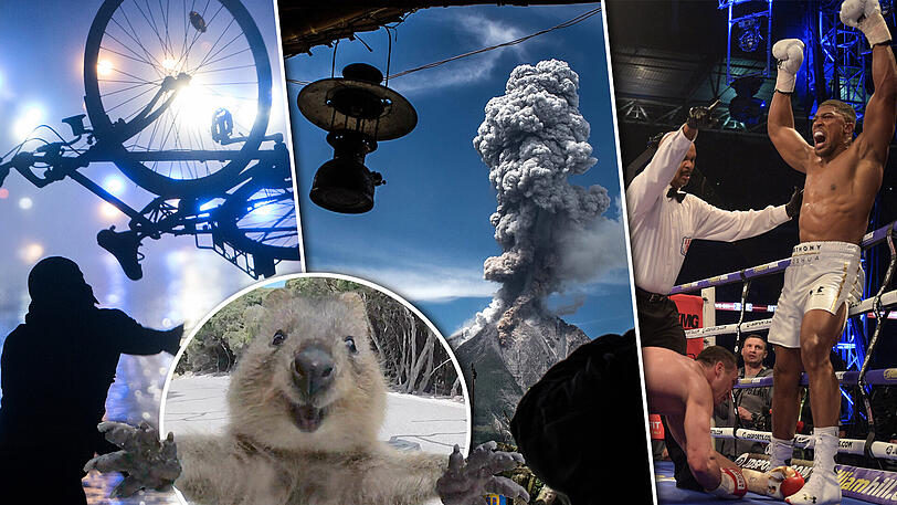 Tolle Momentaufnahmen aus aller Welt: die Bilder des Jahres 2017 - klicken Sie rein!