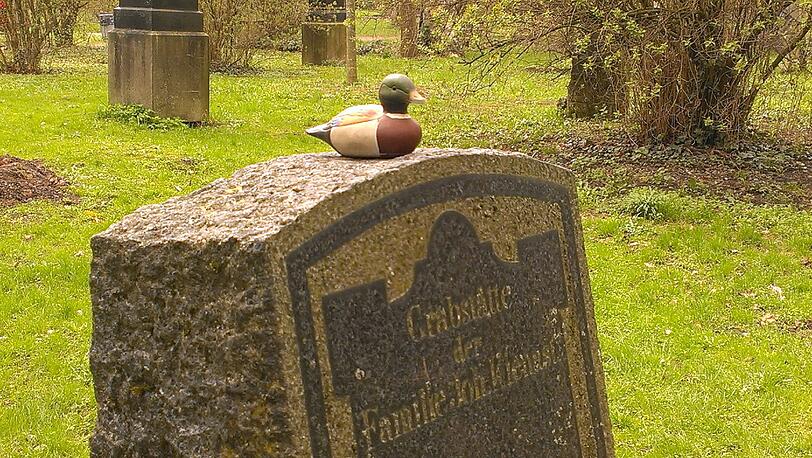 Ein Erpel auf dem Grabstein - im Alten Nördlichen Friedhof.