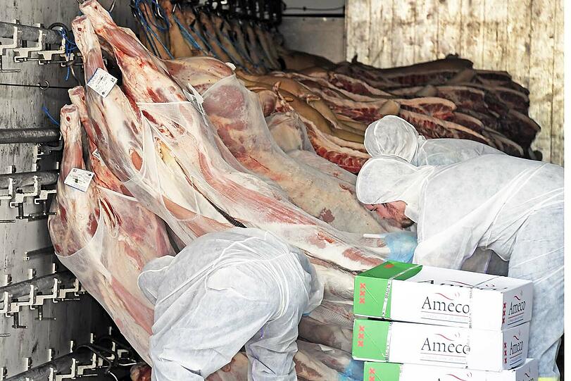Bei einem Unfall am Donnerstag ist ein Lastwagen mit Schweinehälften umgestürzt.