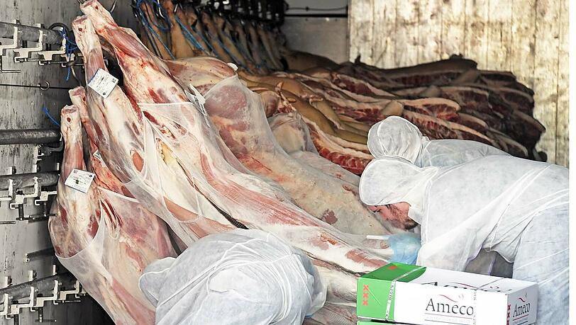 Bei einem Unfall am Donnerstag ist ein Lastwagen mit Schweinehälften umgestürzt. Bei einem Unfall am Donnerstag ist ein Lastwagen mit Schweinehälften umgestürzt.