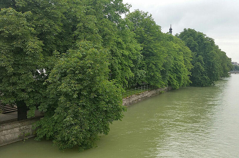 Rettung aus der Isar: an dieser Stelle befreiten zwei Polizeibeamte einen 39 Jahre alten Mann aus seiner misslichen Lage.