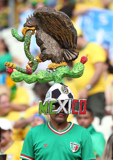 Die heißesten Fans der WM: Die irrsten Bilder