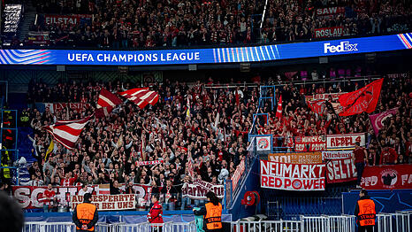 Mussten die Nacht am Ende doch nicht auf dem Stadionparkplatz verbringen: Die Fans des FC Bayern.