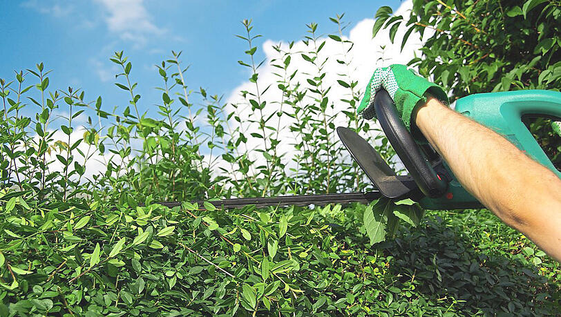 Ein Mann schneidet eine Hecke - Grenzbepflanzung ist oft ein Ärgernis.