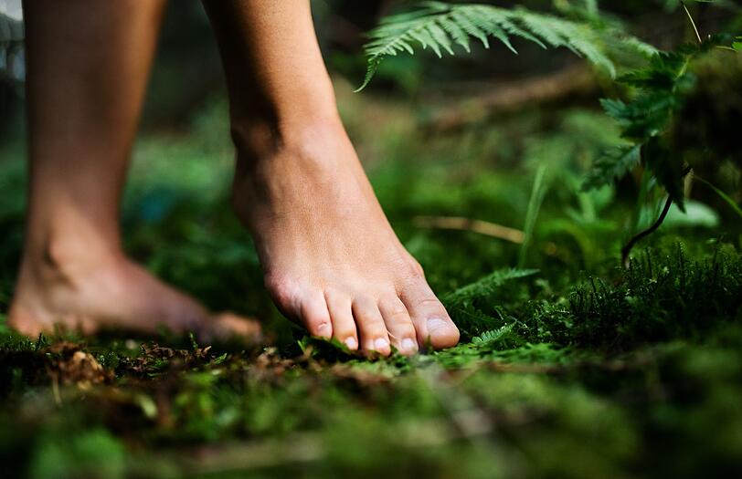 Es muss nicht allein den Händen überlassen bleiben, sich an den vielfältigen Oberflächenstrukturen im Wald zu erfreuen: Barfuß ist der Wald beinahe ein doppeltes sinnliches Erlebnis. Fans von "Grounding" schwören außerdem auf den Energieaustausch zwischen Körper und Erde. Es muss nicht allein den Händen überlassen bleiben, sich an den vielfältigen Oberflächenstrukturen im Wald zu erfreuen: Barfuß ist der Wald beinahe ein doppeltes sinnliches Erlebnis. Fans von "Grounding" schwören außerdem auf den Energieaustausch zwischen Körper und Erde.