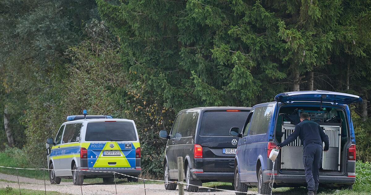 No sign of the puma - | Helicopter and riders unsuccessful