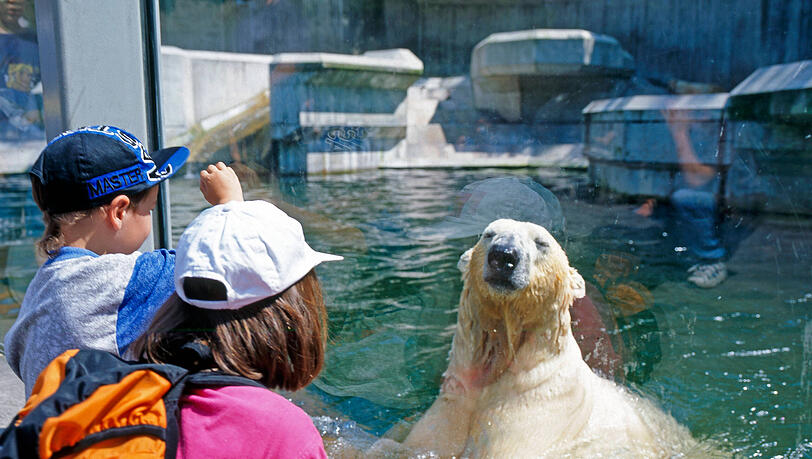 In Hellabrunn können Kinder Tiere aus aller Welt aus nächster Nähe bestaunen und etwas über sie lernen. In Hellabrunn können Kinder Tiere aus aller Welt aus nächster Nähe bestaunen und etwas über sie lernen.