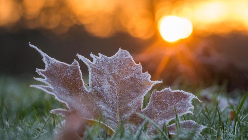 Reif bedeckt während des Sonnenaufgangs ein Blatt auf einer Wiese. Foto: Candy Welz/zb/dpa/Archivbild Reif bedeckt während des Sonnenaufgangs ein Blatt auf einer Wiese. Foto: Candy Welz/zb/dpa/Archivbild