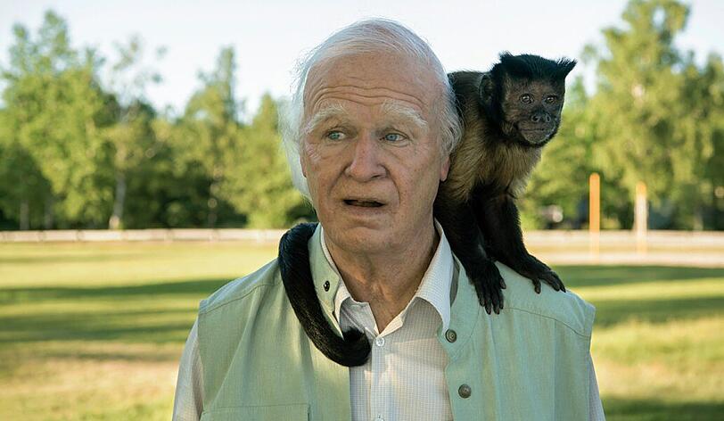 "Sie war die Beste, eine großartige Schauspielerin", sagt Robert Gustafsson, hier als hunderteinjähriger Allan Karlsson, über seine Partnerin Crystal the Monkey.