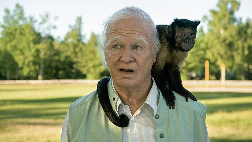 "Sie war die Beste, eine großartige Schauspielerin", sagt Robert Gustafsson, hier als hunderteinjähriger Allan Karlsson, über seine Partnerin Crystal the Monkey.
