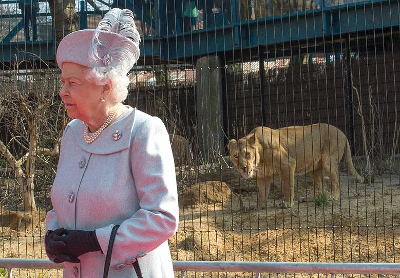 Queen Elizabeth II. wird am 21. April 92 Jahre alt und ist bekannt für ihren bunten Look.