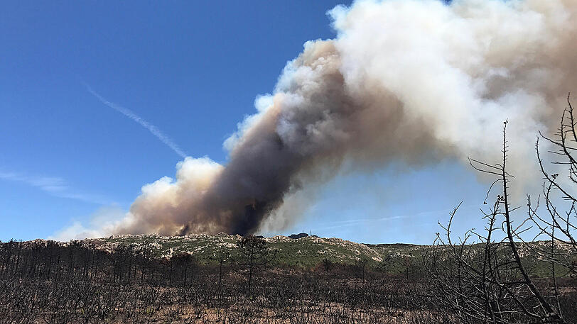 ...wohingegen auch in Frankreich, wie hier auf Korsika, Urlauber und Anwohner eher die Feuerklatsche parat haben sollten.