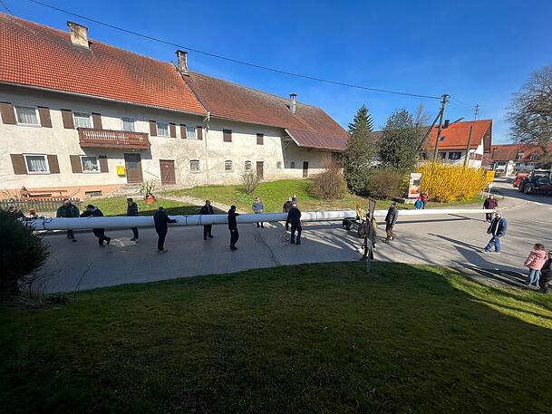 27 Meter lang ist Maibaum Nummer 2 vom "Luki"-Platz, den die Unterbrunner erfolgreich heimbringen. 27 Meter lang ist Maibaum Nummer 2 vom "Luki"-Platz, den die Unterbrunner erfolgreich heimbringen.